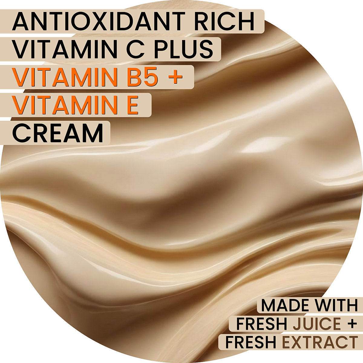 Blueberry Chebula Vitamin C+ Face Cream – Daily Anti-Aging, Brightening & Hydrating Moisturizer | Fresh Blueberry, Cucumber & Chebula Extract + Hyaluronic Acid + Vitamins B5, C & E | 125mL