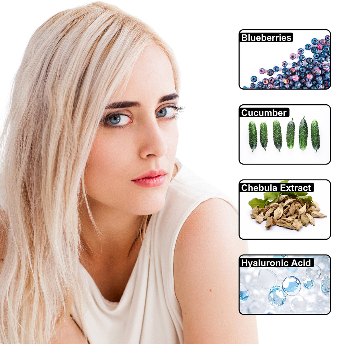 Blueberry Chebula Vitamin C+ Face Cream – Daily Anti-Aging, Brightening & Hydrating Moisturizer | Fresh Blueberry, Cucumber & Chebula Extract + Hyaluronic Acid + Vitamins B5, C & E | 125mL