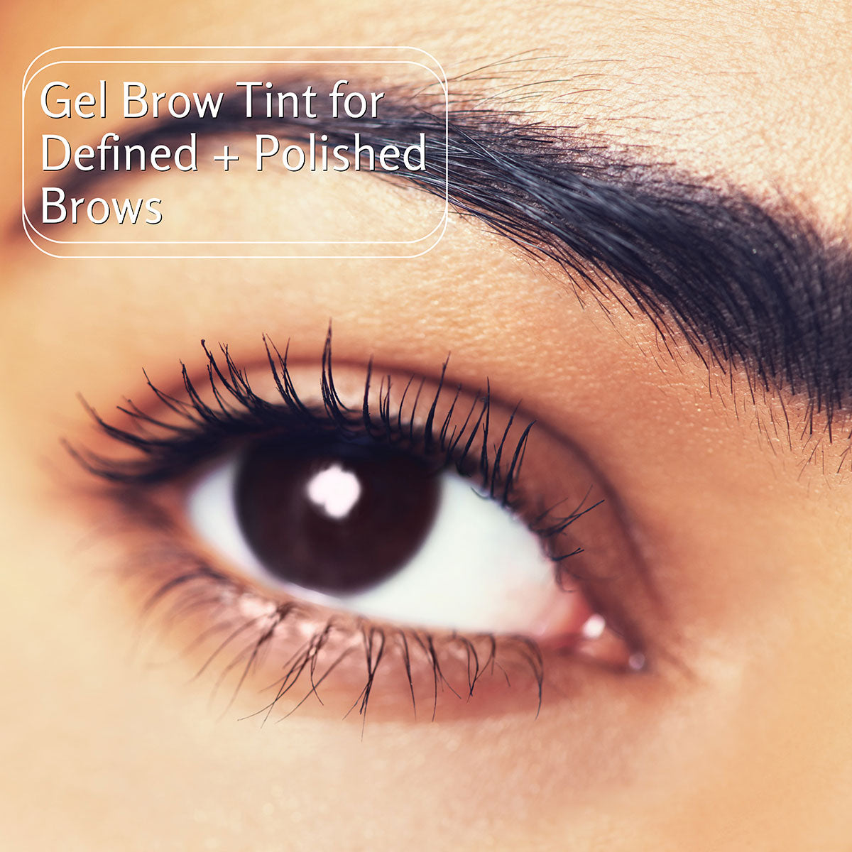 Tinted Brow Gel – Natural-Looking Definition & Fuller Brows | Water-Based, Long-Lasting Hold | 8ml / 0.28 fl oz